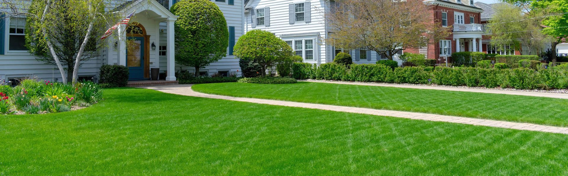 Wide, healthy lawn in front of a family home