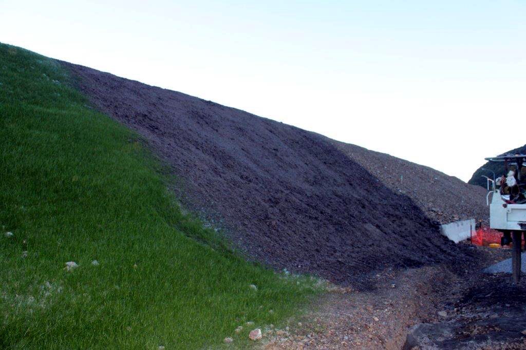 Grass established on a steep embankment beside ground still to be treated