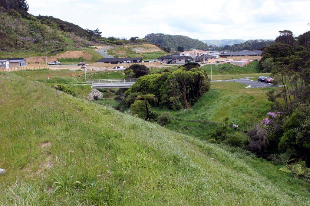 Grass established across a slope after hydroseeding