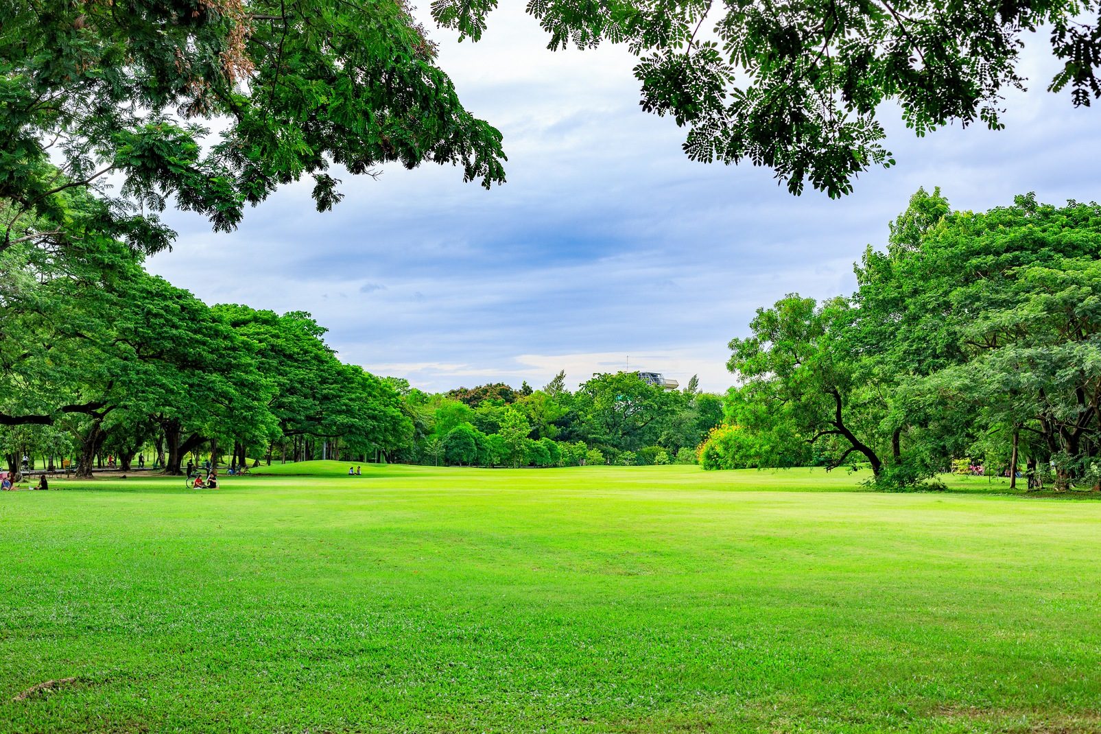 Lush green reserve lawn under a canopy of trees