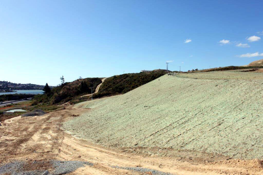 Large embankment freshly covered in hydromulch
