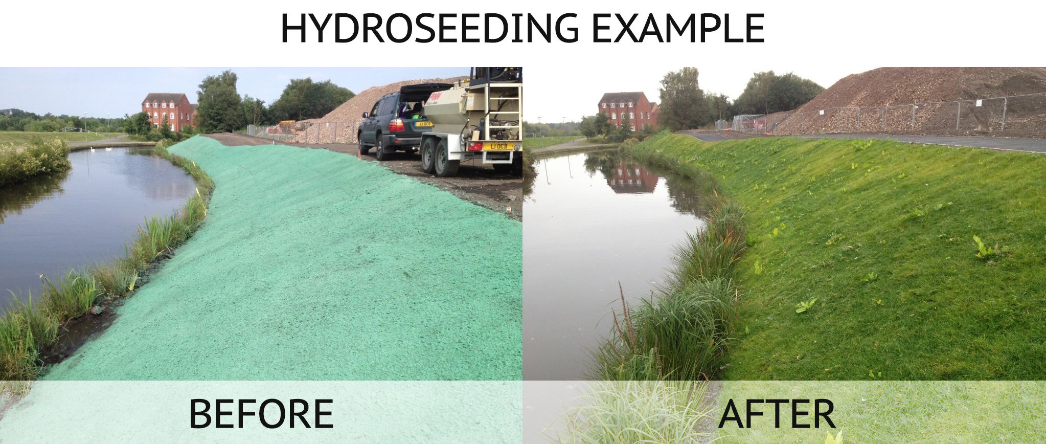 Before and after hydroseeding a stream bank