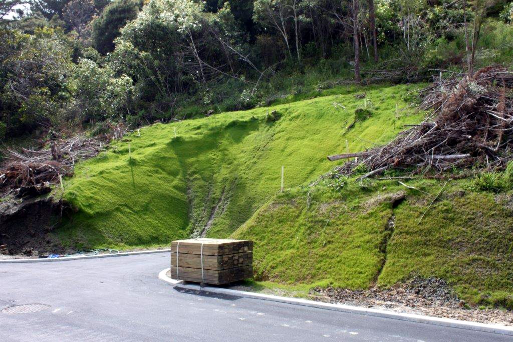 Roadside bank covered in new grass after hydroseeding
