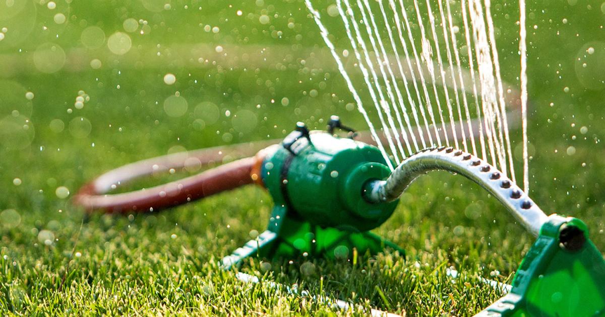 Sprinkler watering a new lawn